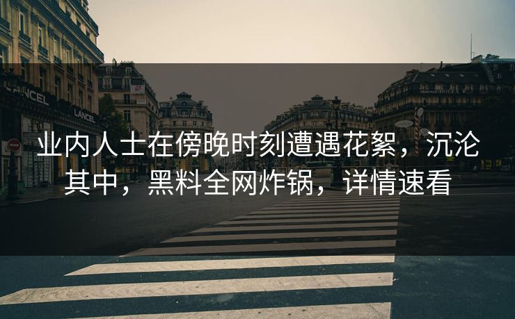 业内人士在傍晚时刻遭遇花絮，沉沦其中，黑料全网炸锅，详情速看