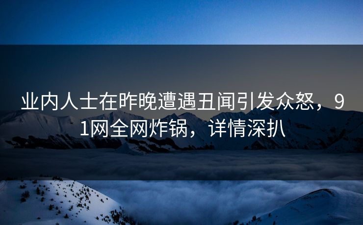 业内人士在昨晚遭遇丑闻引发众怒，91网全网炸锅，详情深扒