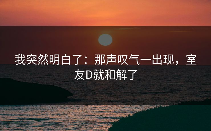 我突然明白了：那声叹气一出现，室友D就和解了