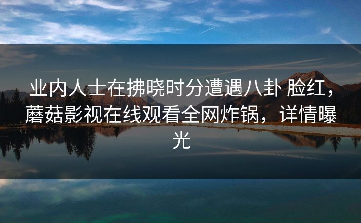 业内人士在拂晓时分遭遇八卦 脸红，蘑菇影视在线观看全网炸锅，详情曝光
