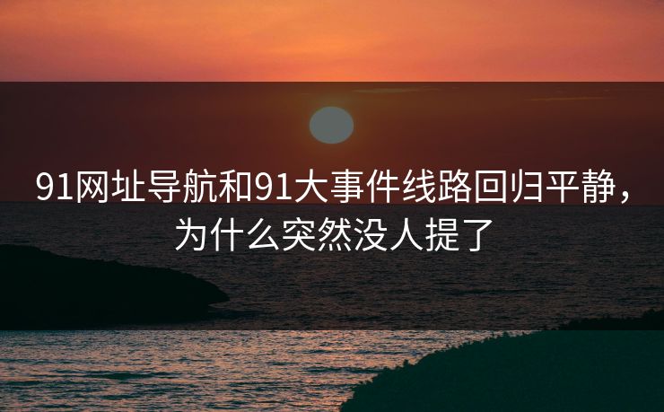 91网址导航和91大事件线路回归平静,为什么突然没人提了